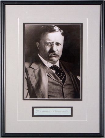 Lot #176 Theodore Roosevelt - Image 2