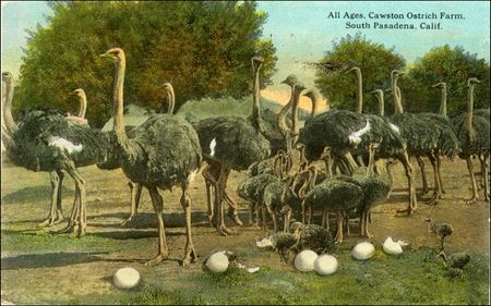 Lot #601 D. H. Lawrence - Image 2