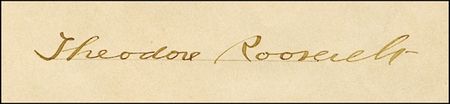 Lot #218 Theodore Roosevelt - Image 1