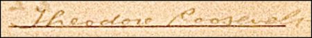 Lot #219 Theodore Roosevelt - Image 1