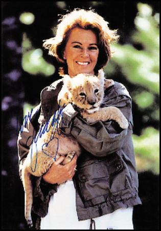 Lot #772 ABBA - Image 1