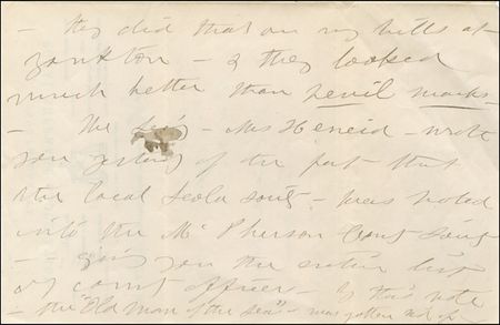 Lot #237 Susan B. Anthony - Image 2