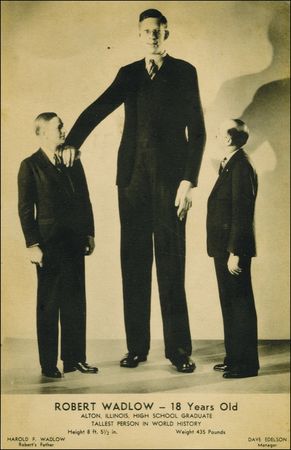 Lot #429 Robert Wadlow - Image 2
