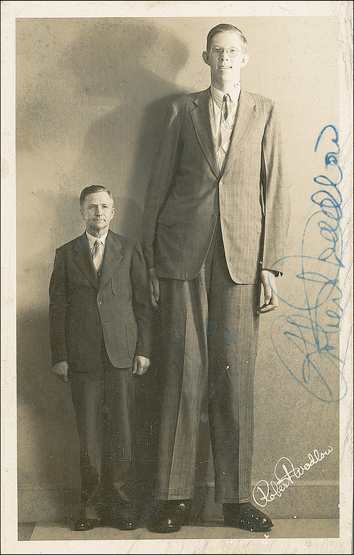 Lot 369 Robert Wadlow