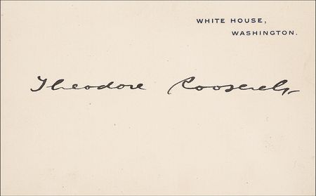 Lot #149 Theodore Roosevelt - Image 2