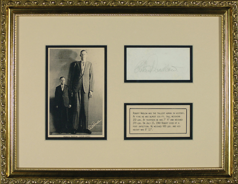 Lot 331 Robert Wadlow