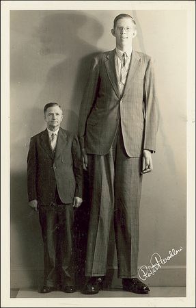 Lot #330 Robert Wadlow - Image 2