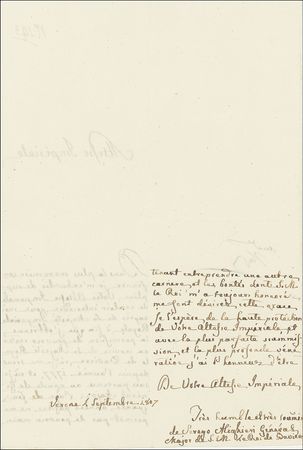 Lot #285 Napoleon - Image 2