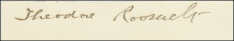 Lot 126 Theodore Roosevelt