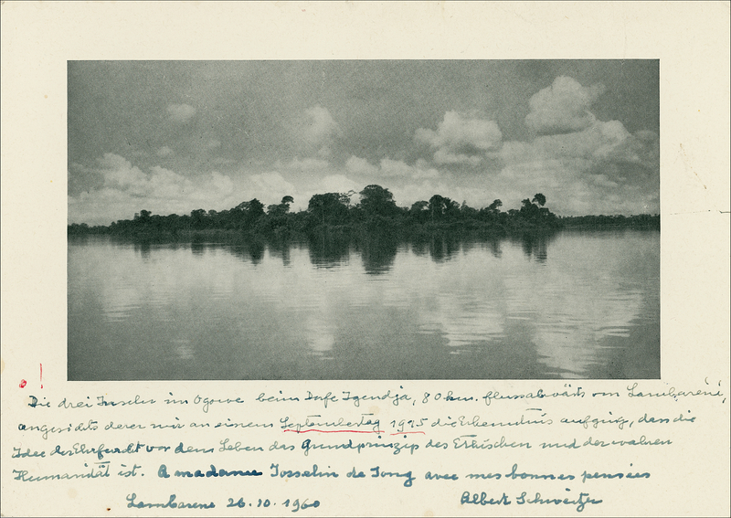 Lot 309 Albert Schweitzer