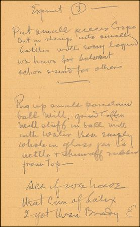 Lot #201 Thomas Edison - Image 7