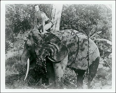 Lot #975 Tarzans - Image 4