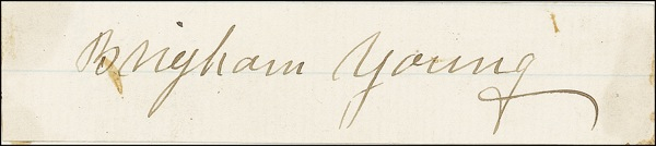 Lot 263 Brigham Young