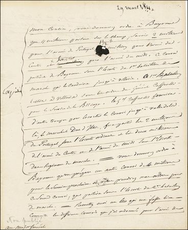 Lot #309 Napoleon - Image 2