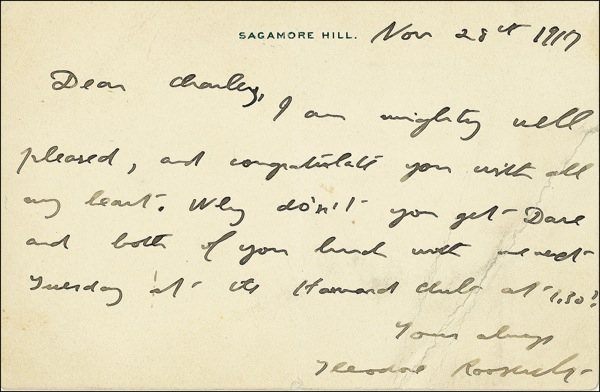 Lot 163 Theodore Roosevelt