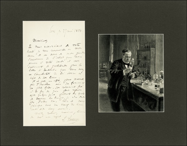 Lot 344 Louis Pasteur