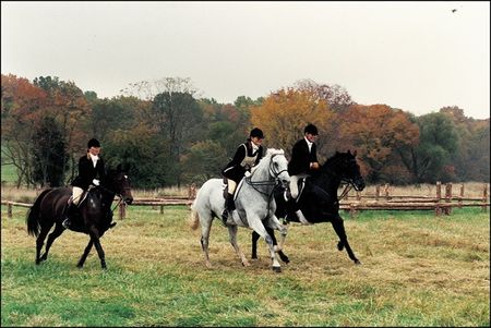 Lot #99 Jacqueline Kennedy - Image 3