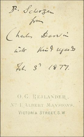 Lot #245 Charles Darwin - Image 1