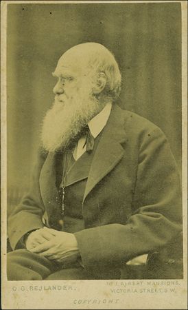 Lot #245 Charles Darwin - Image 2