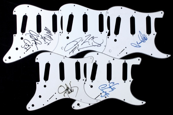 Lot 842 Pickguards