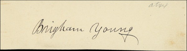 Lot 351 Brigham Young