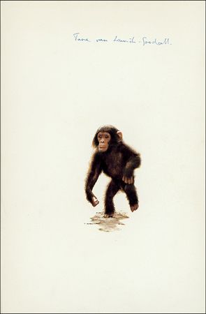 Lot #240 Jane Goodall - Image 1