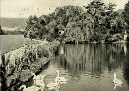 Lot #172 Max Born - Image 2