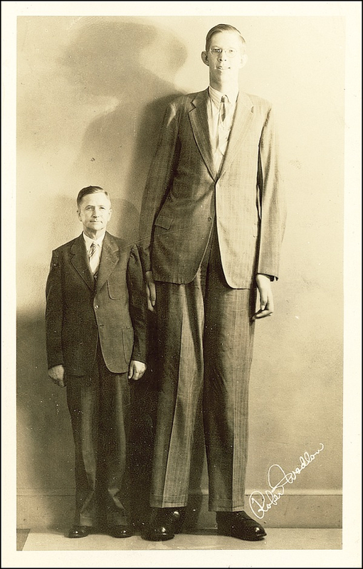 Lot 321 Robert Wadlow