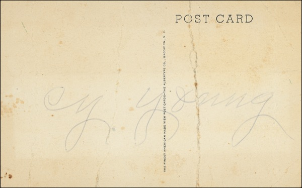 Lot 1583 Cy Young