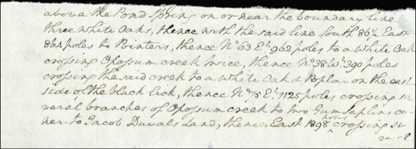 Lot 148 George Washington