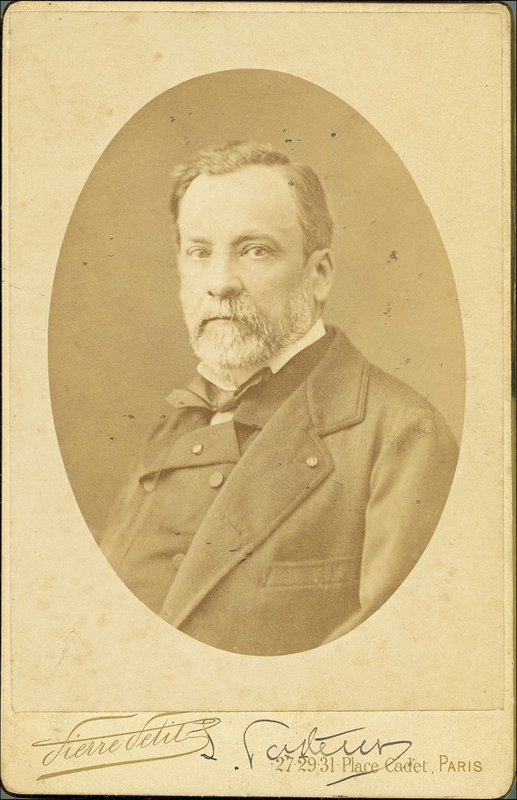 Lot 286 Louis Pasteur