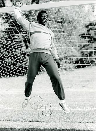 Lot #1472 Pele - Image 1