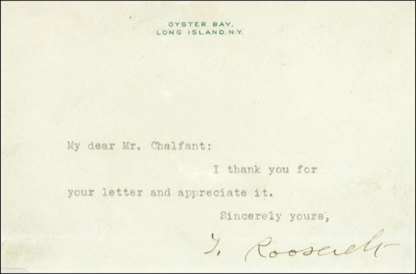 Lot 69 Theodore Roosevelt