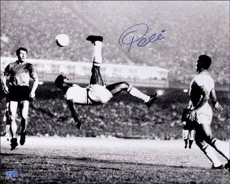 Lot #1414 Pele - Image 1