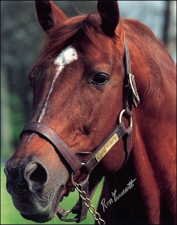 Lot #1306 Horse Racing: Turcotte, Ron - Image 1