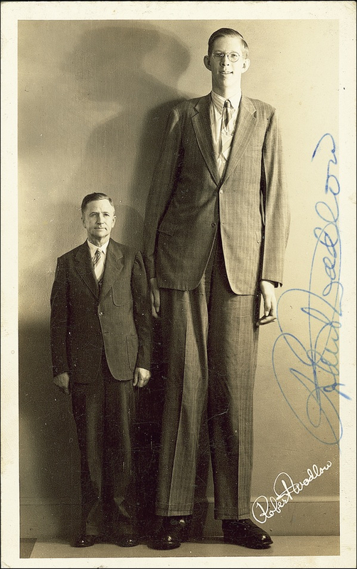 Lot 290 Robert Wadlow