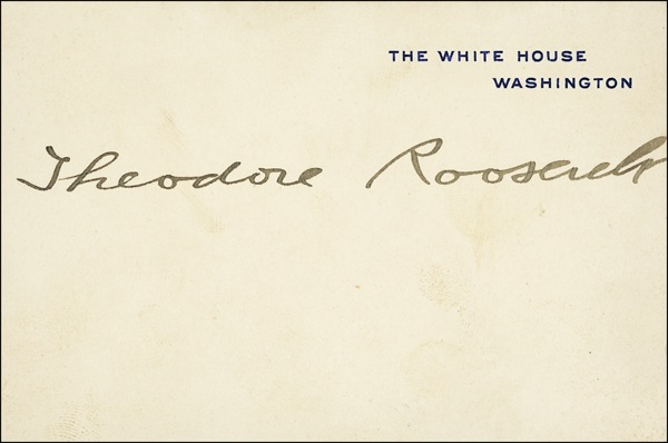 Lot 110 Theodore Roosevelt