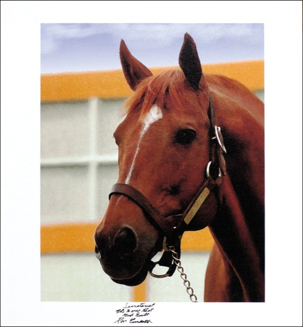 Lot 1267 Horse Racing: Ron Turcotte