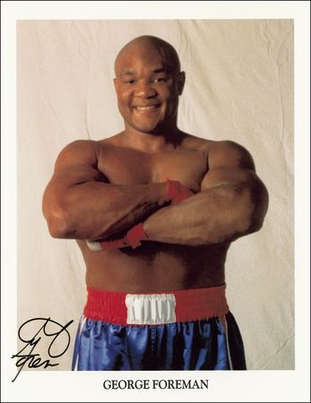 Lot #1153 Boxers - Image 2