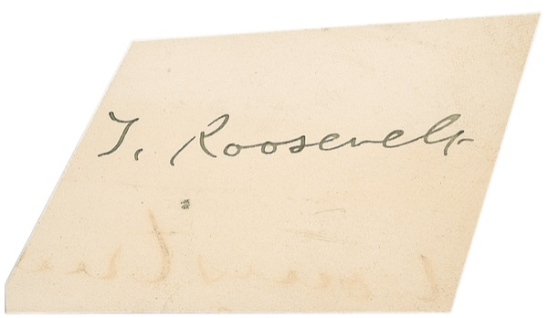 Lot 164 Theodore Roosevelt