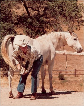 Lot #144 Ronald Reagan - Image 3