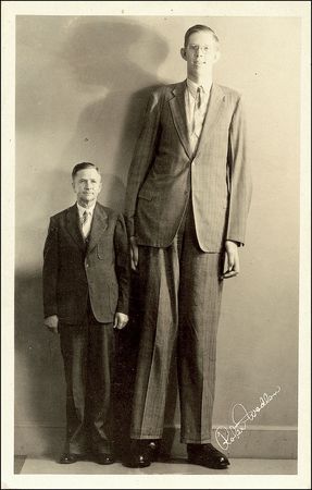 Lot #392 Robert Wadlow - Image 2