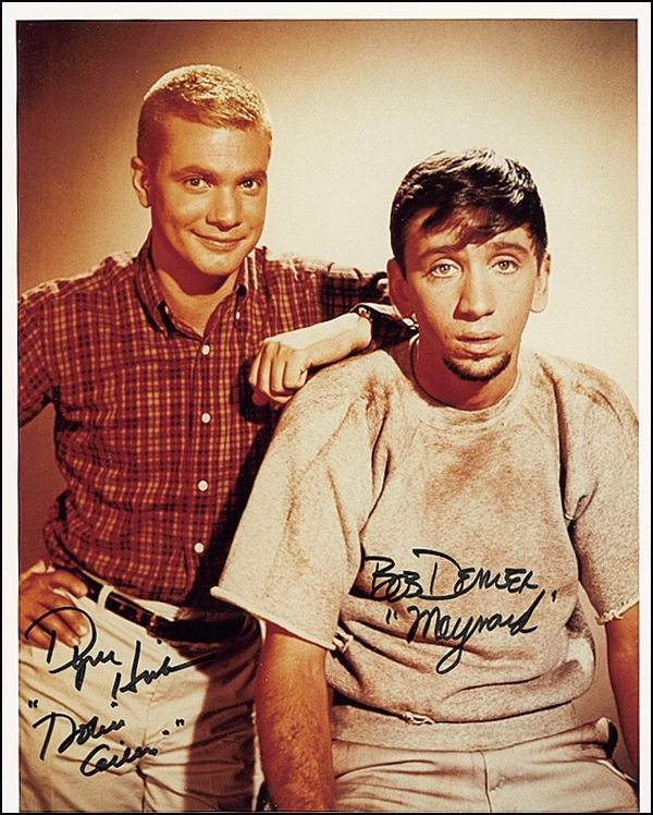 Lot 913 Dobie Gillis