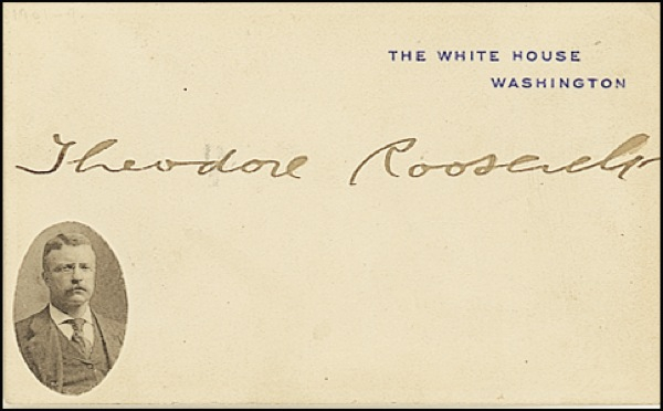 Lot 146 Theodore Roosevelt