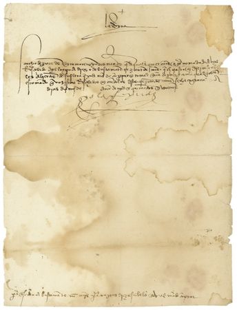 Lot #256 Isabella I - Image 1