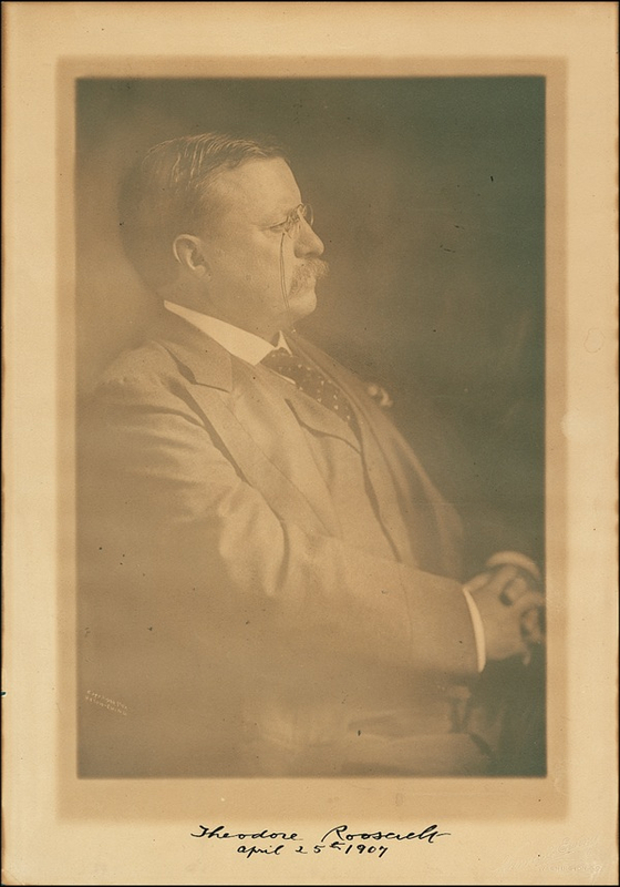 Lot 137 Theodore Roosevelt