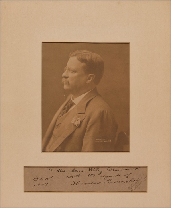 Lot 151 Theodore Roosevelt