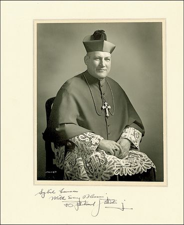 Lot #210 Cardinals - Image 1
