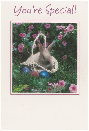 Lot #277 John Gotti - Image 2