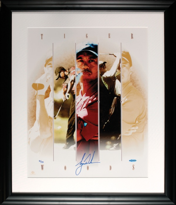 Lot 1451 Tiger Woods